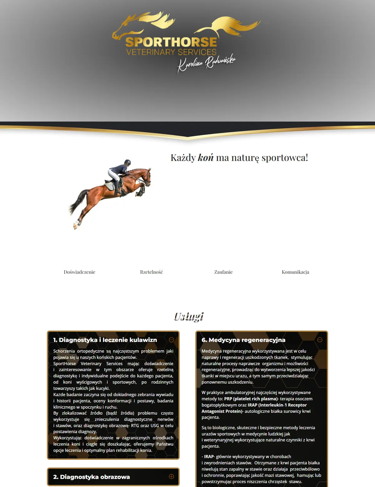 Strona główna sporthorsevet.pl